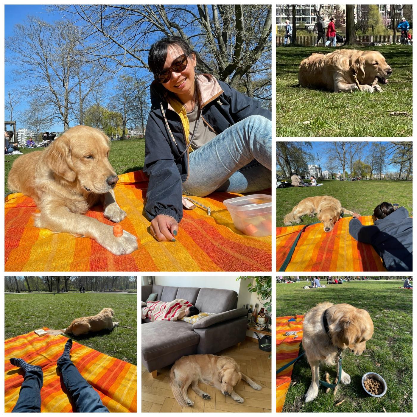 Zur Abrundung des verlängerten WEs: relaxen mit Sonne & Hund & Park - herrlich! :) 
