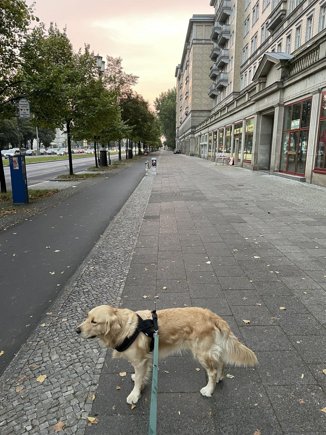 Entspannt in die neue Woche… :)