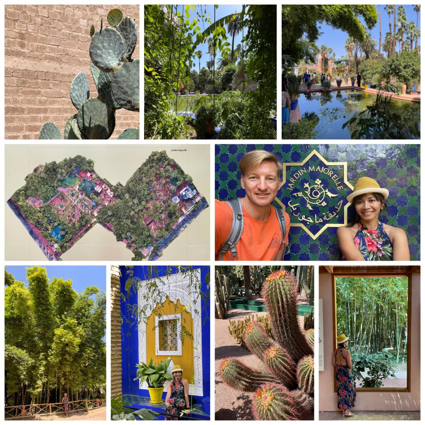 DIE Oase von Marrakesch besucht: Dank YSL seit über 100 Jahren der Jardin Majorelle - beeindruckend & entspannend!