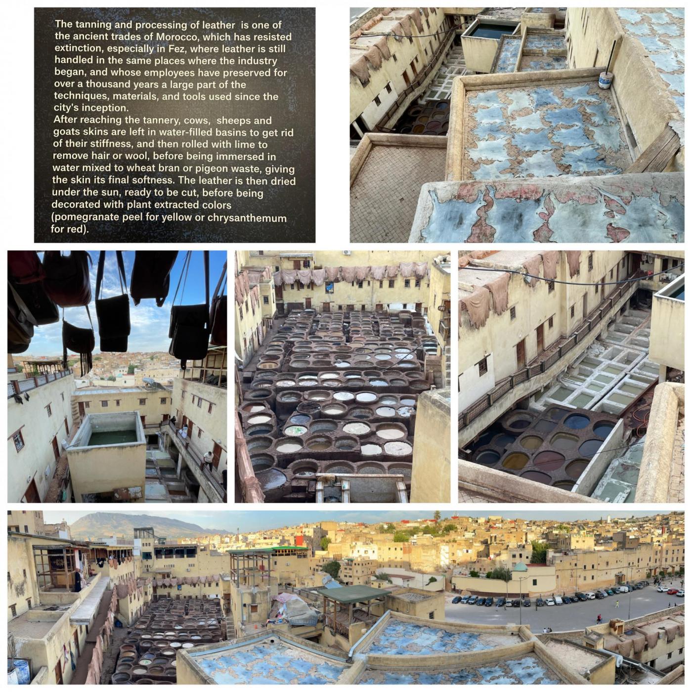 Back in Fes: Am Abend wieder zurück in royaler Leder-Hauptstadt Marokkos. Wir liegen 5 Gürtel vorn! ;)