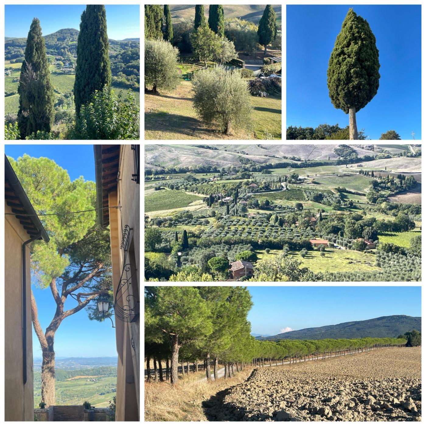 Süd-Ost-Toskana: Landschaft bei & zwischen Monte San Savino, Lucignano, Montepulciano & Monticchiello durchstreift & Aussicht genommen .