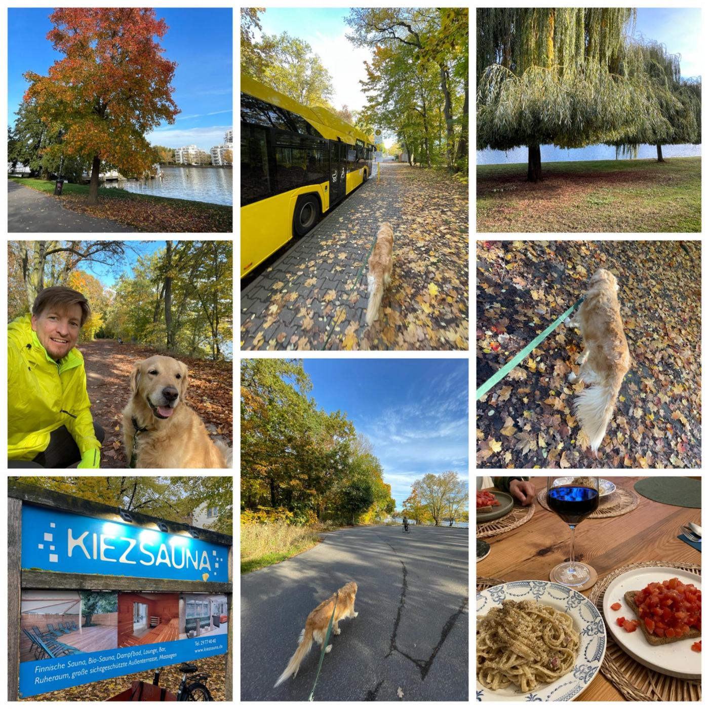 Freitag frei, sind ja Ferien! ;) Golden Herbst-Tarn. Und nein, Katsu war nicht mit in der Kiezsauna… ;)