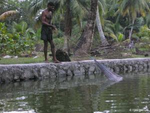 Backwaters: Fishermens Friend und sein Abendbro