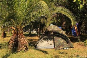 Zeltplatz Olmello: unser Stealth-Tent mit Privat-Palme
