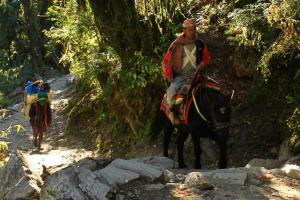 Sherpas - Die wahren Könige im Himalaya