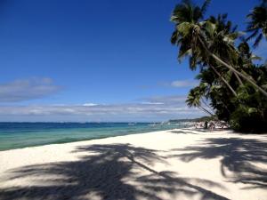 White Beach, der Name ist Programm und die Palmen biegen sich postkartenartig darüber